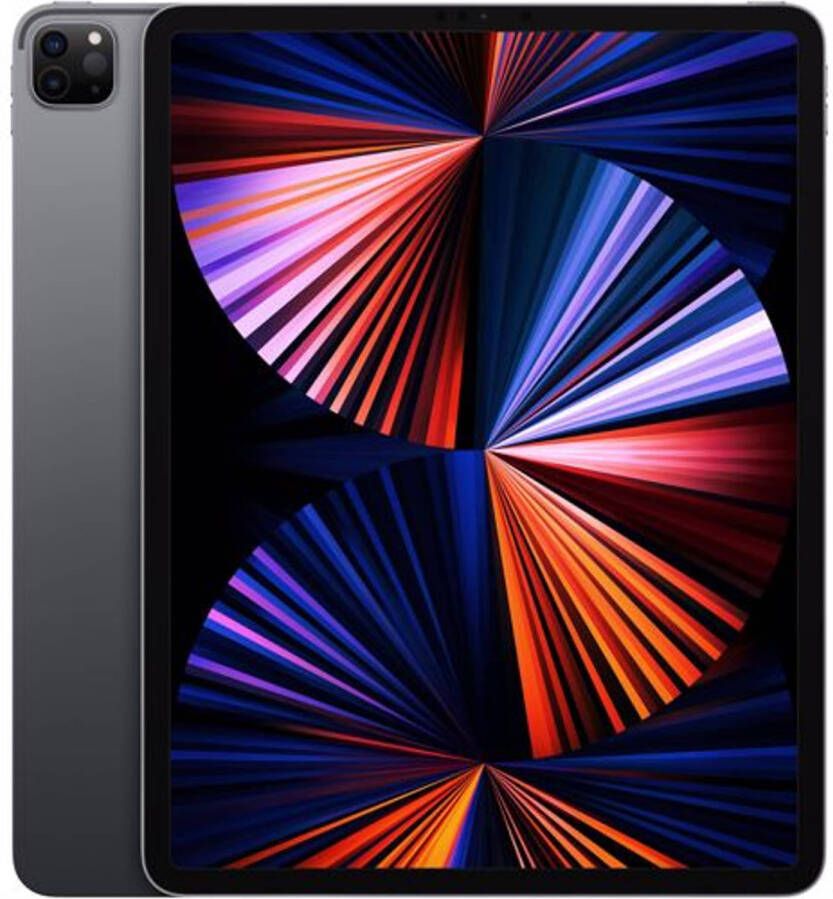 Apple 12.9 inch iPad Pro(2021)Wi‑Fi 2TB(space grey )