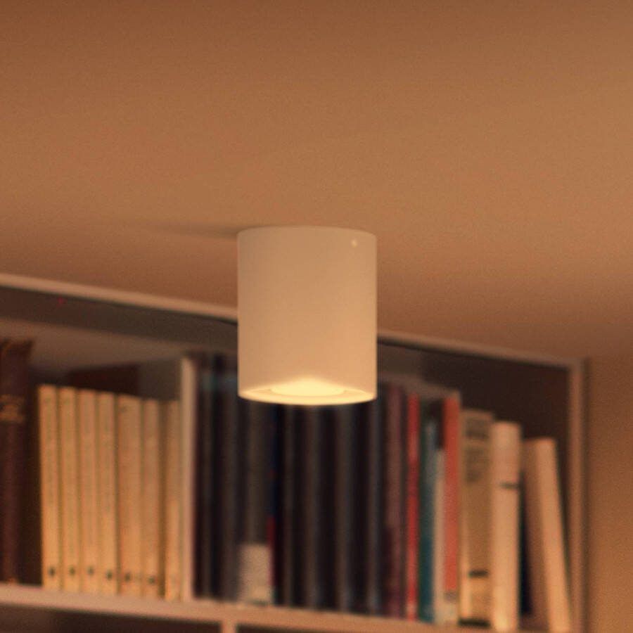 Philips Hue Pillar opbouwspot White Ambiance 1-lichts Wit + dimmer